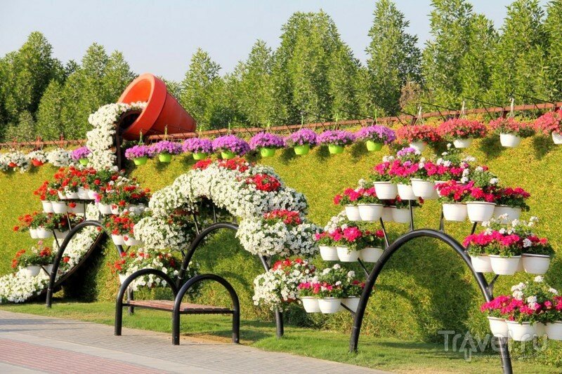 Dubai Miracle Garden амфитеатр