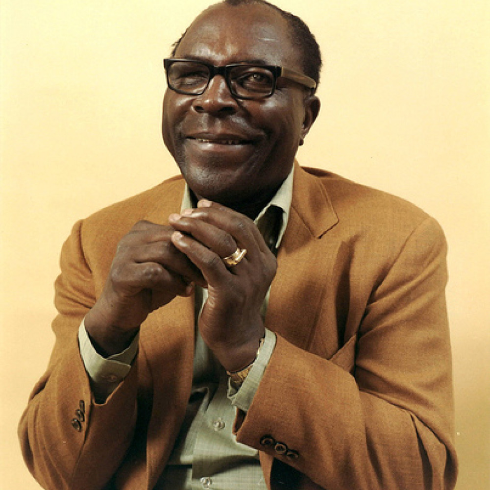 Sonny. Сонни Терри. Sonny Terry. Sonny Terry foto. Сонни Терри на какой гармонике играет.